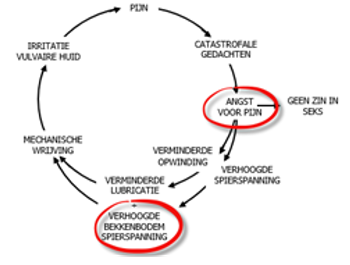 Afbeelding met tekst, diagram, cirkel, lijn
Automatisch gegenereerde beschrijving